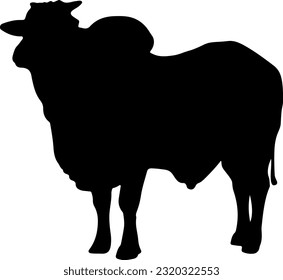 vector sapi siluet sapi cocok untuk logo atau kupon qurban, sapi ied adha lebaran haji