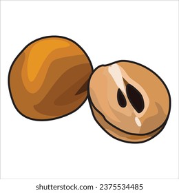 vector sapodilla fruit or "sawo" in Indonesian language, suitable for stickers and other design elements