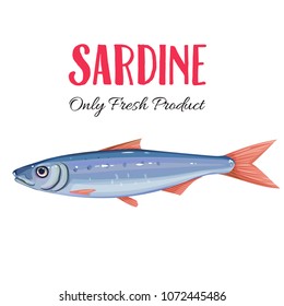 Vector sardine. Icon badge fish for design seafood packaging and market.