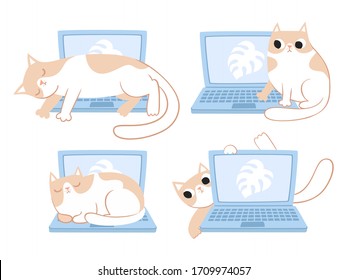 Vector sat of cut cats sitting and lying on laptop isolated on white. Flat cartoon concepts with kittens and home office for web landing page, banner, flyer, sticker