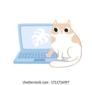 Vector sat of cut cats sitting and touching laptop isolated on white. Flat cartoon concepts with kittens and home office for web landing page, banner, flyer, sticker