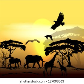 Vector savanna scene