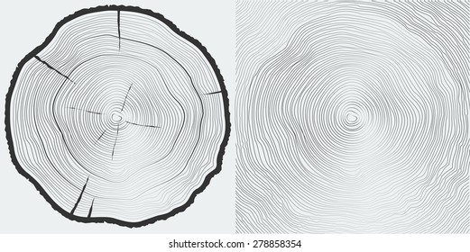 Vector sawcut tree trunk and tree-rings background