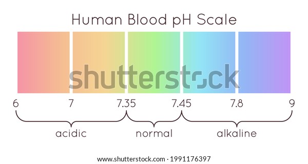 Vector Scale Human Blood Ph Acidic Stock Vector (Royalty Free ...