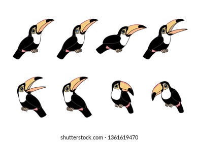 vector scandi cartoon animal clip art toco toucans