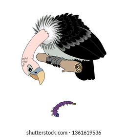 vector scandi cartoon animal clip art predator vulture