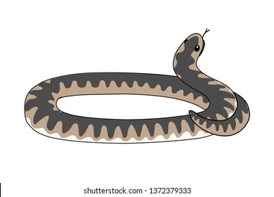 vector scandi cartoon animal clip art coiled viper snake