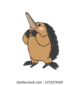 vector scandi cartoon animal clip art cute echidna