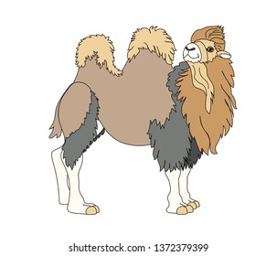 vector scandi cartoon animal clip art bactrian camel