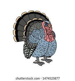 vector scandi cartoon animal clip art turkey bird