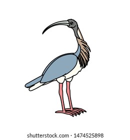 vector scandi cartoon animal clip art ibis bird