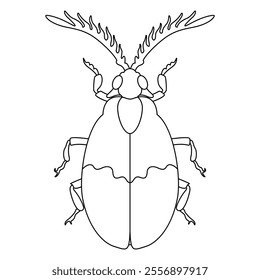 Vector Scarab Beetle Bug Insect Cartoon Illustration Isolated