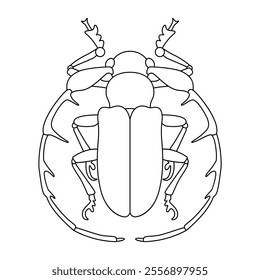 Vector Scarab Beetle Bug Insect Cartoon Illustration Isolated