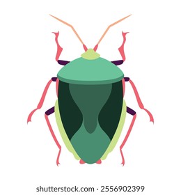 Vector Scarab Beetle Bug Insect Cartoon Illustration Isolated