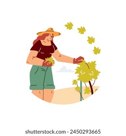 Vector scene on a white background with a young girl who takes care of a grape bush on a plantation: she plucks the leaves of grapes to increase the yield.