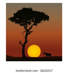 Vector of a scene of sunset in Africa