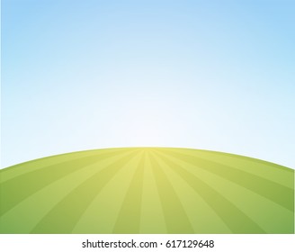 Vector Scenic Background of Countryside. Illustration with Wheat Field under blue sky.