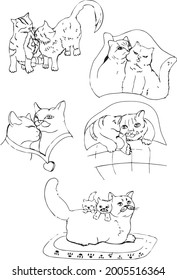 Vector scetch illustration of cute cats. Print with funny cats. Kitten in graphic