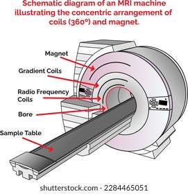 Ein Vektordiagramm einer MRT-Maschine würde diese konzentrische Anordnung von Spulen und Magneten zeigen, wobei sich der Magnet in der Mitte befindet und die Ringen um ihn angeordnet sind.