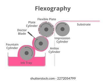 Vector schematic illustration of flexographic printing technique isolated on a white background. Flexo printing press or machine, flexography. Fountain, anilox, plate, and impression cylinders. svg