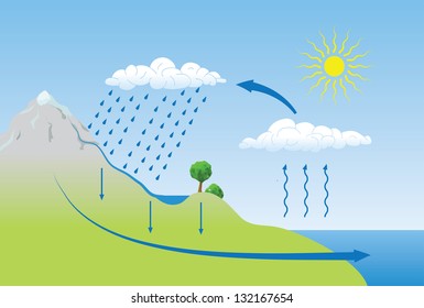 Vector schematic representation of the water cycle in nature