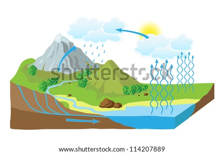 Vector schematic representation of the water cycle in nature