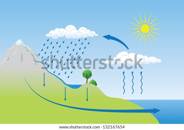 Vector Schematic Representation Water Cycle Nature Stock Vector ...