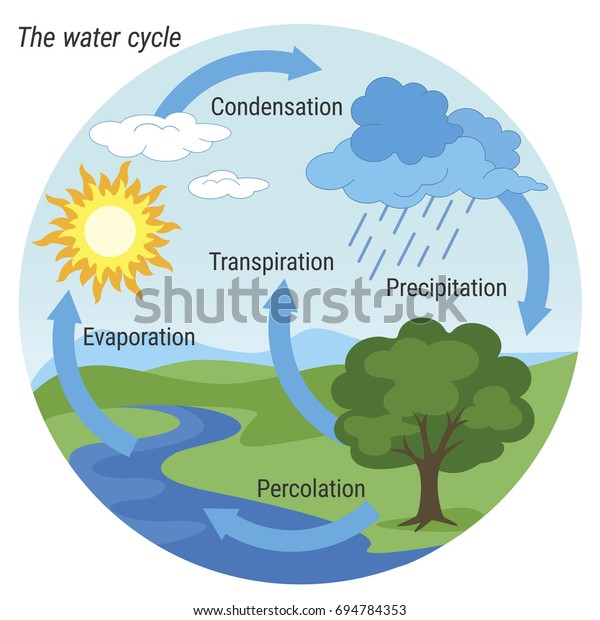 Vector schematic representation of the water\
cycle in nature. Illustration of diagram water cycle. Cycle water\
in nature environment.