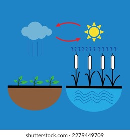 Vector schematic representation of the water evaporation process in nature