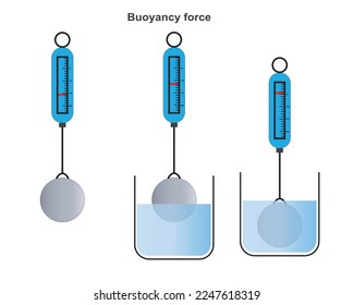 Vector scheme of Archimedes buoyancy principle, law of physics. Buoyant force, gravity, weight of the object, the density of fluid and object. Measurement of density. Container with fluid and object.