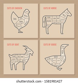The vector scheme cuts chicken, horse, goat and goose in a hand-drawn illustration in a vintage style for a butchers menu or restaurant.