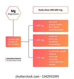 Vector scheme of the nutrients, vitamins and minerals. Daily dose of macronutrients. Vector infographic macronutrients. Magnesium - contain in food.