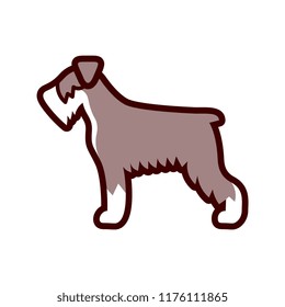 Vector Schnauzer Dog Icon Isolated On White Background