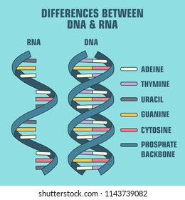 Vector Scientific Icon Spiral Dna Rna Stock Vector (Royalty Free ...