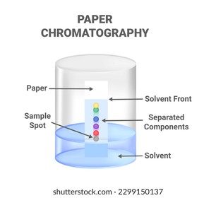 Vector scientific illustration of ascending paper chromatography – an analytical method used to separate components between stationary and mobile phases. Method for identifying substances.