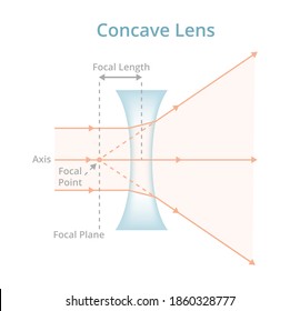 Vector scientific illustration of a concave lens or diverging lens isolated on white. Physics, optics, photography. Labeled negative lens diverging the light rays passing through the lens from an axis