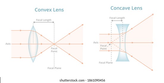 Vector scientific illustration. Convex or converging lens, concave or diverging lens, light rays passing through lens. Physics, optics, photography. Positive, negative labeled lens isolated on white.