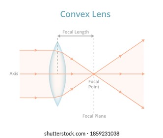 Vector scientific illustration of a convex lens or converging lens isolated on white. Physics, optics, photography. Labeled convex lens converges the light rays passing through the lens to a point.