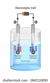 Vector scientific illustration of electrolysis process in water with an electric battery. Electrolytic cell. Negative and positive cathode and anode, anions, and cations isolated on white background.