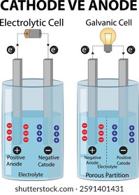 Vector scientific illustration of the electrolysis processes. Set of voltaic galvanic cell and electrolytic cell. Negative and positive cathode and anode, anions, cations isolated on white background.