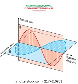 Vector scientific illustration of electromagnetic wave consisting of electric and magnetic fields and propagation isolated on a white background. Wavelength, amplitude, frequency. Radio waves, light.