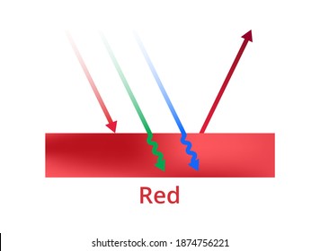 Vector scientific illustration of light reflection, red color, red surface. The red color is reflected, green and blue colors are absorbed. Visible spectrum light. Infographic – physics, printing. 