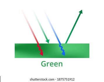 Vector scientific illustration of light reflection, green color, green surface. The green color is reflected, red and blue colors are absorbed. Visible spectrum light. Infographic – physics, printing.