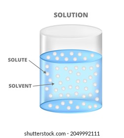 Vector scientific illustration of a solution isolated on white. Dissolving solid particles or ions in a liquid, chemistry. Beaker or container with solute in a solvent. Solute dissolved in a solvent.