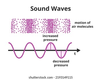 Ilustración científica vectorial de la onda sonora - el sonido es una onda de presión. Moléculas o partículas de aire comprimidas y enrarecidas y onduladas con frecuencia y amplitud aisladas sobre un fondo blanco.