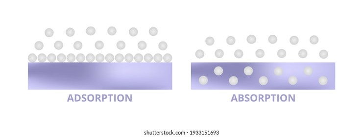 10 Difference Between Absorption And Adsorption With Examples Viva Differences