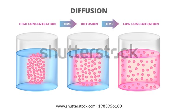 Vector Scientific Scheme Diffusion Isolated On Stock Vector (Royalty ...