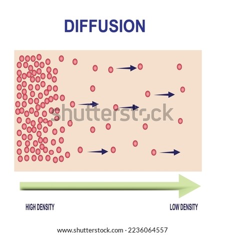 Vector scientific scheme of diffusion. Movement of molecules, ions, and atoms from an area of higher or high concentration to an area of lower or low concentration.
