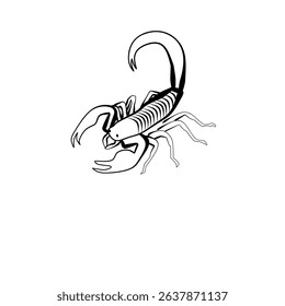 vector scorpio line art simple