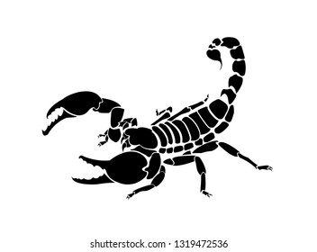 Vector scorpion illustration for logo and tattoo